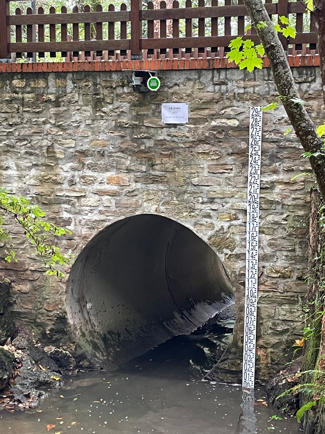 Capteur de surveillance du Morchêne à Saint-Cyr-en-Val